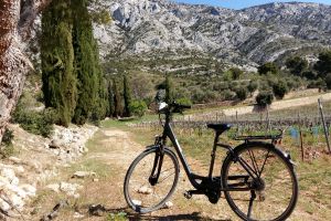 vélo à assistance électrique dans le Luberon  